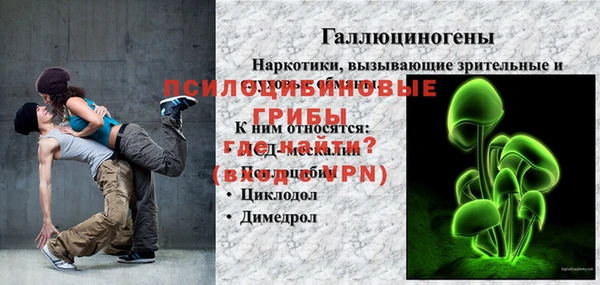 хмурый Алексин