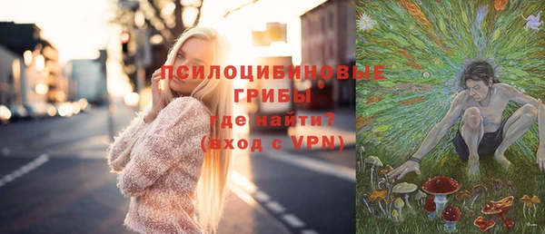 хмурый Алексин