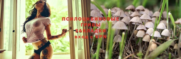 a pvp Абинск