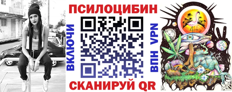 Псилоцибиновые грибы MAGIC MUSHROOMS ссылка на мегу зеркало Элиста где купить наркоту