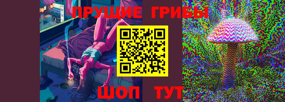 даркнет сайт  Псилоцибиновые грибы Magic Shrooms  Галлюциногенные грибы мицелий  Вход с VPN  Элиста 